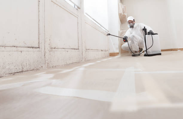 24/7 Emergency Mold Cleanup experts in Graham, NC
