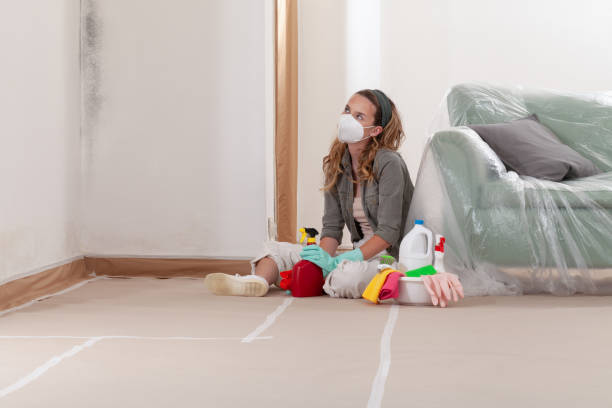 Reliable Mold Cleanup contractor in Graham, NC by Cheap Mold Removal
