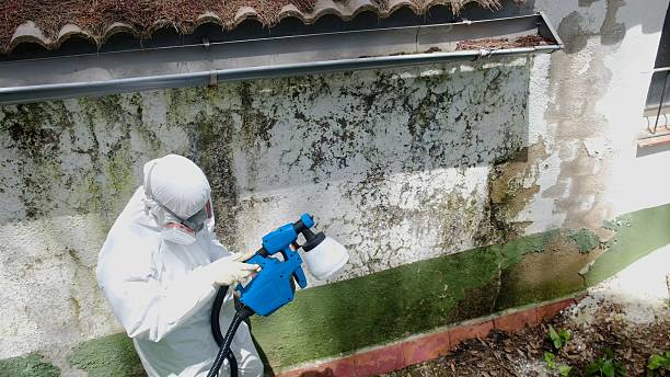 Top rated local Mold Cleanup specialists in Graham, NC
